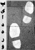 غزلی از مریم کرمی 